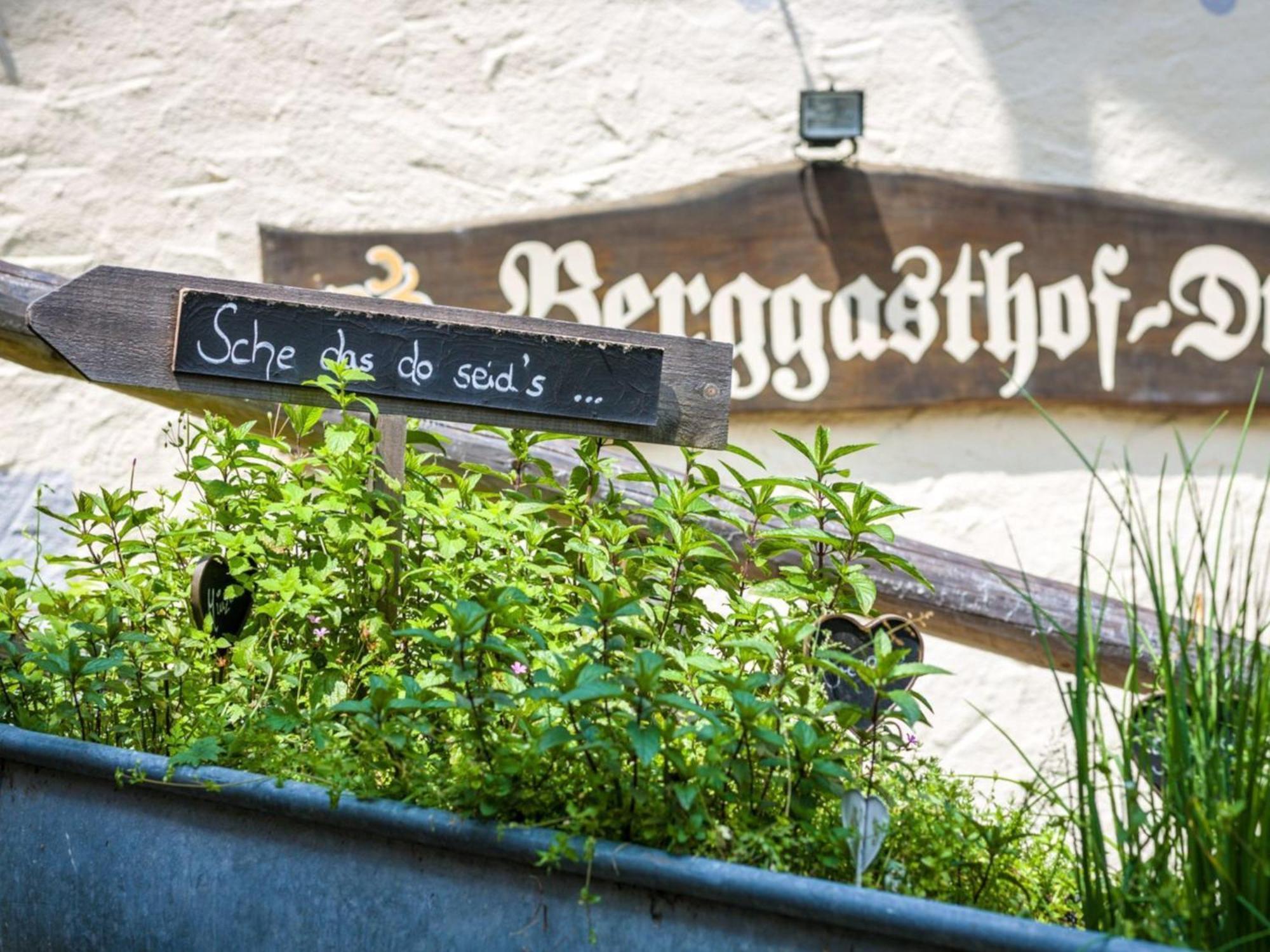 Berggasthof Hotel Duftbraeu I Ruhige Alleinlage I Mitten Im Gruenen Samerberg Exterior foto